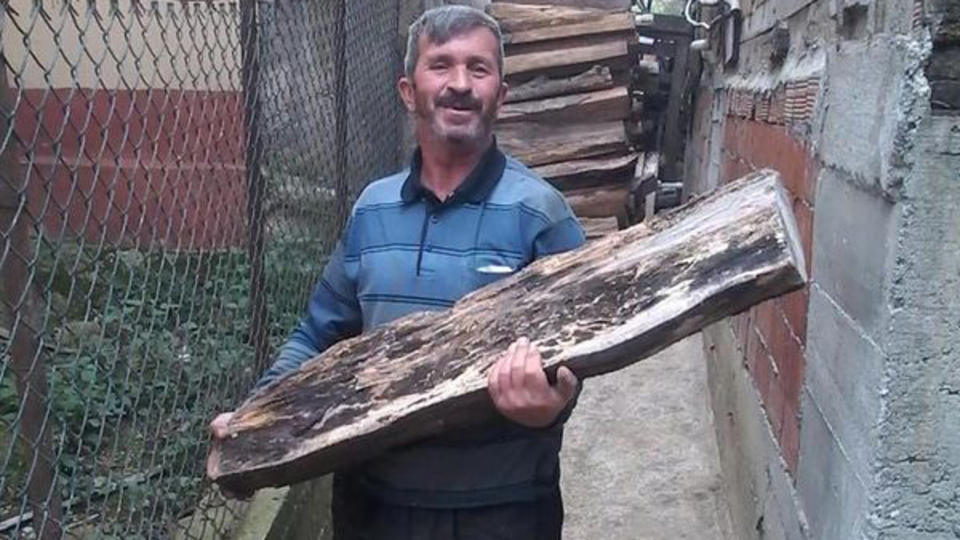 Kestiği ağacın altında kalarak öldü