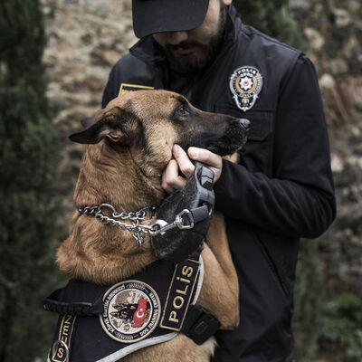 'Onların yaptığı vatana en büyük hizmet'