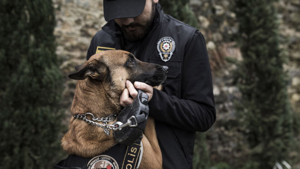'Onların yaptığı vatana en büyük hizmet'