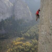 Ölüme meydan okudu, Oscar aldı