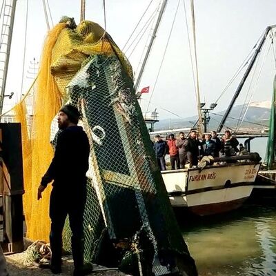 Görenler hayrete düştü! Balık ağına yat takıldı!