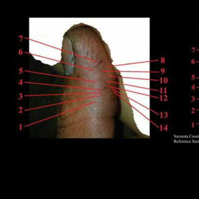 İstanbul polisinden çok ilginç yöntem!