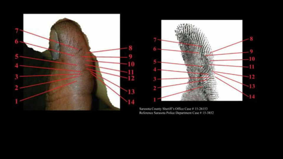 İstanbul polisinden çok ilginç yöntem!