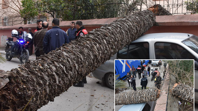 Rüzgarın şiddetiyle! Faciadan dönüldü!