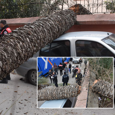 Rüzgarın şiddetiyle! Faciadan dönüldü!