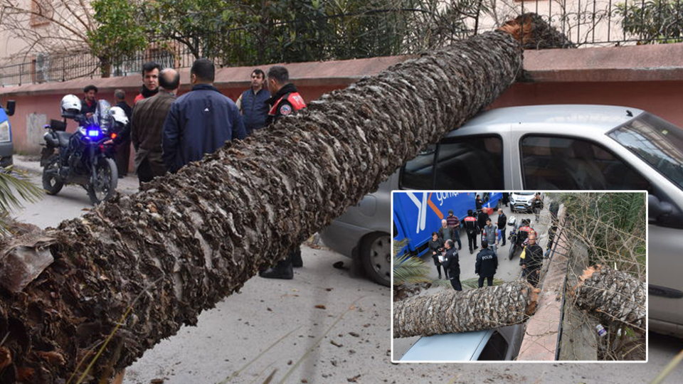 Rüzgarın şiddetiyle! Faciadan dönüldü!