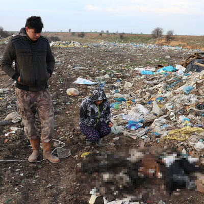 Kan donduran vahşet! 5'i yavru... Boğazlarını kesip yakmışlar!