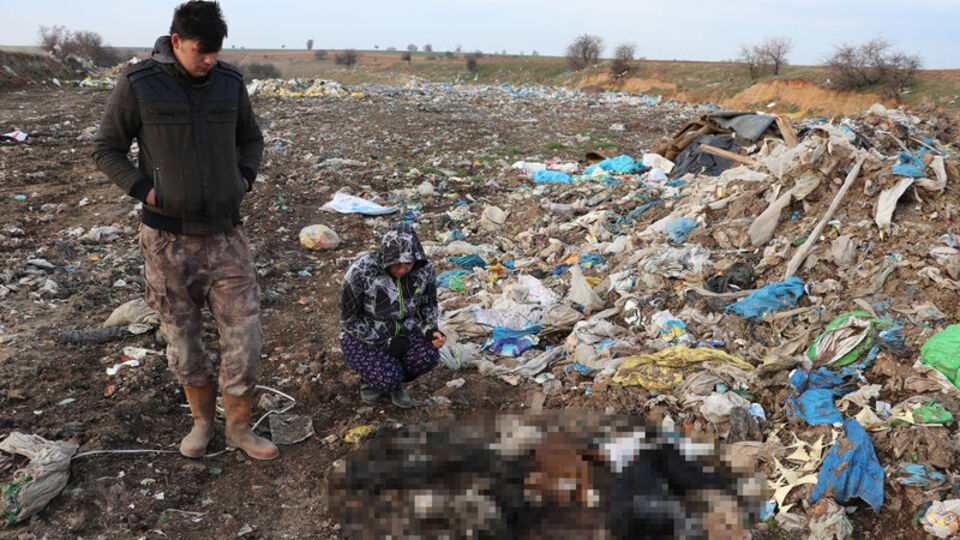 Kan donduran vahşet! 5'i yavru... Boğazlarını kesip yakmışlar!