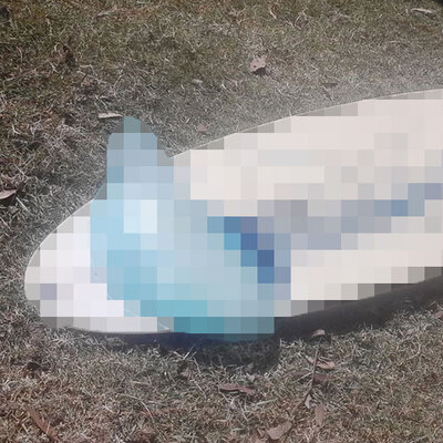 Kıyıya vurdu! Görenler şoke oldu