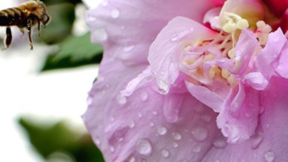 2019 Üçüncü Cemre ne zaman düşecek?