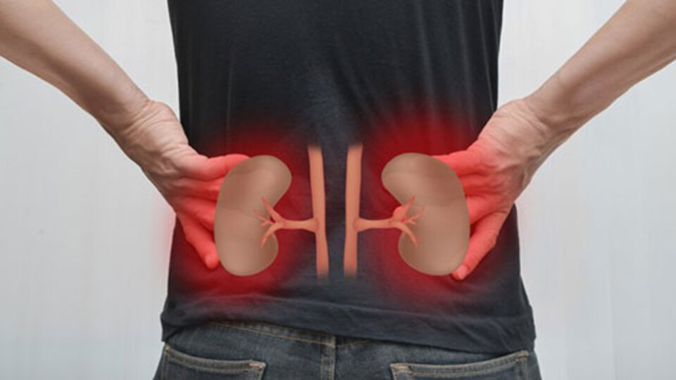 Albüminuri hastalığı nedir? Nasıl tedavi edilir?