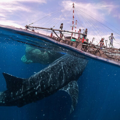 Tam o sırada çekti! Binlerce fotoğraf arasından seçildi