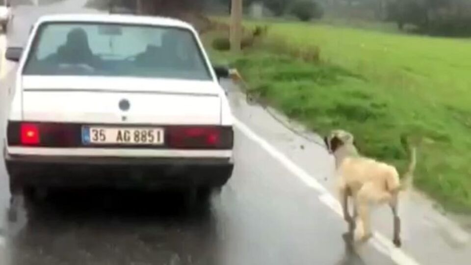 Kilometrelerce süren işkencenin sebebi akılalmaz!