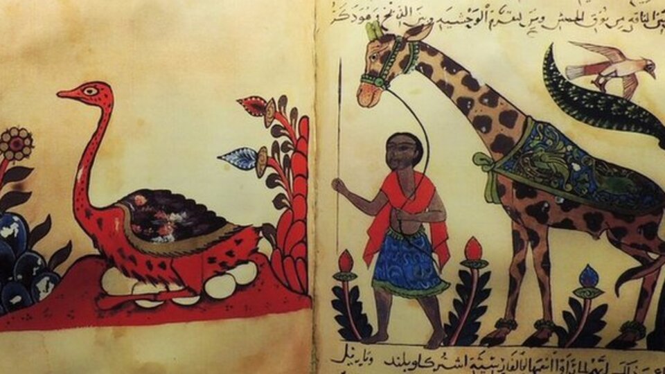 Darwin'den 1000 yıl önce evrim fikrini ortaya atan Müslüman: Basralı El Cahiz