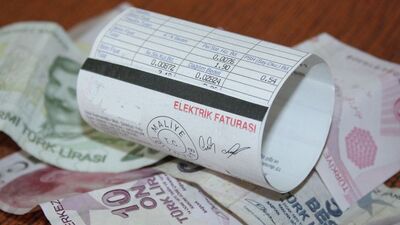 Tarım ve hayvancılığa elektrik desteği