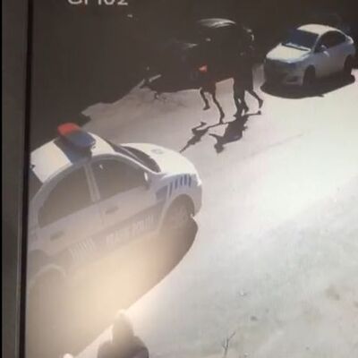 Ehliyetsiz sürücü, polisin önünde yaya geçidinde öğrencilere çarptı!