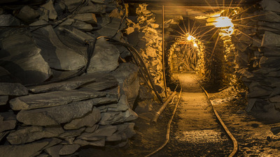 TTK kura sonuç ekranı!