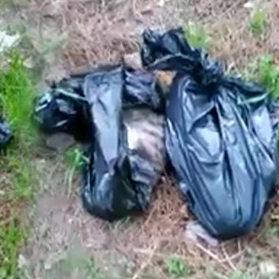 Ormanda bulunan poşetlerden vahşet çıktı!