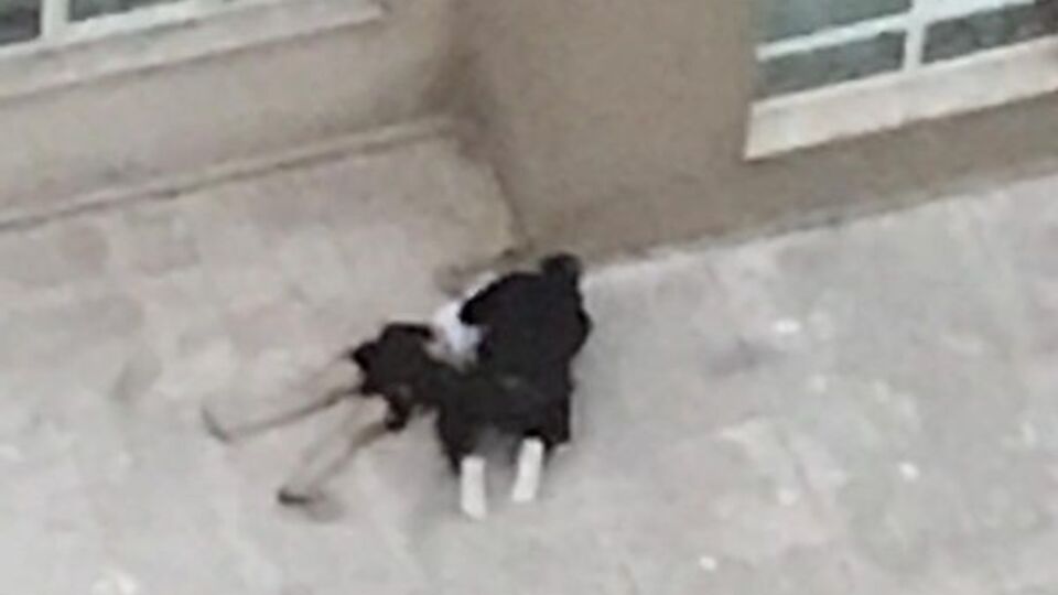 'Ne yaptın Fatma' diye dakikalarca ağladı