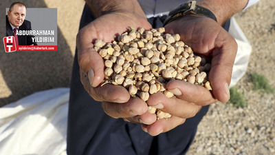 Buğday ile nohut, gerisini unut