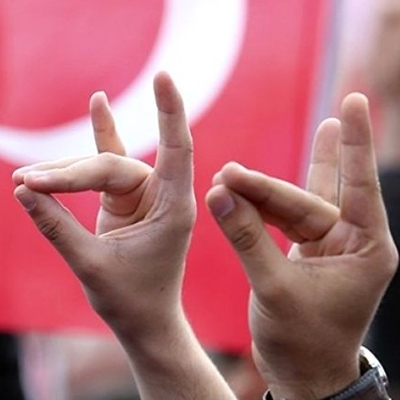 Çavuşoğlu'ndan 'Bozkurt' tepkisi: "Avusturya'ya geldiğimde o işareti ben yapacağım!"