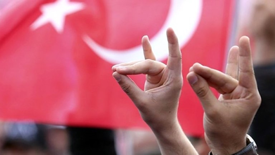 Çavuşoğlu'ndan 'Bozkurt' tepkisi: "Avusturya'ya geldiğimde o işareti ben yapacağım!"