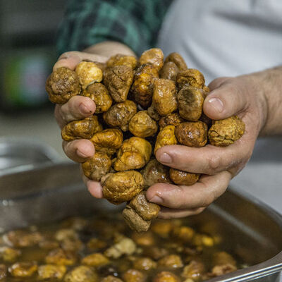 Fiyatına rağmen ilgi görüyor! Sadece 1.5 ay tüketilebiliyor