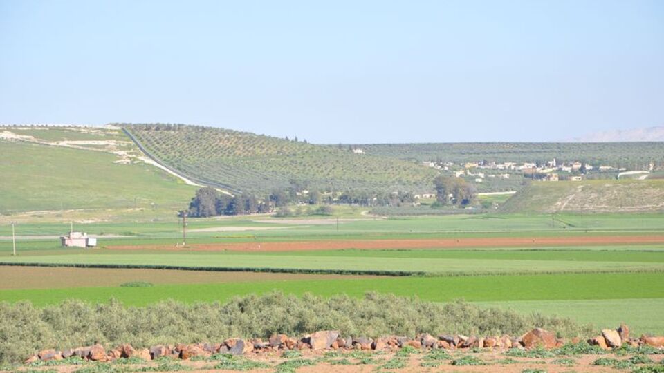 Pekcan: Zeytin Dalı sınır kapımız hazır