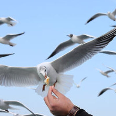 Bahar kendisini hissettiriyor!