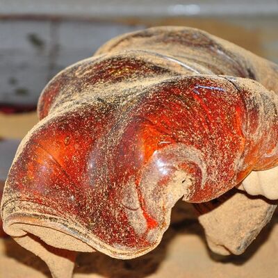 İçerisinde yok yok! Erkek eli değmeden bir ayda hazırlanıyor