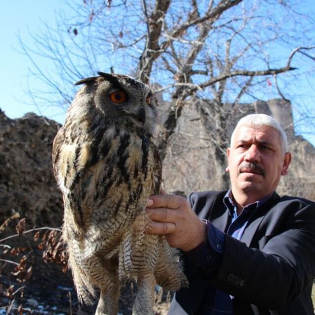 Bahçede bulup eve götürdü! Hayran bıraktı