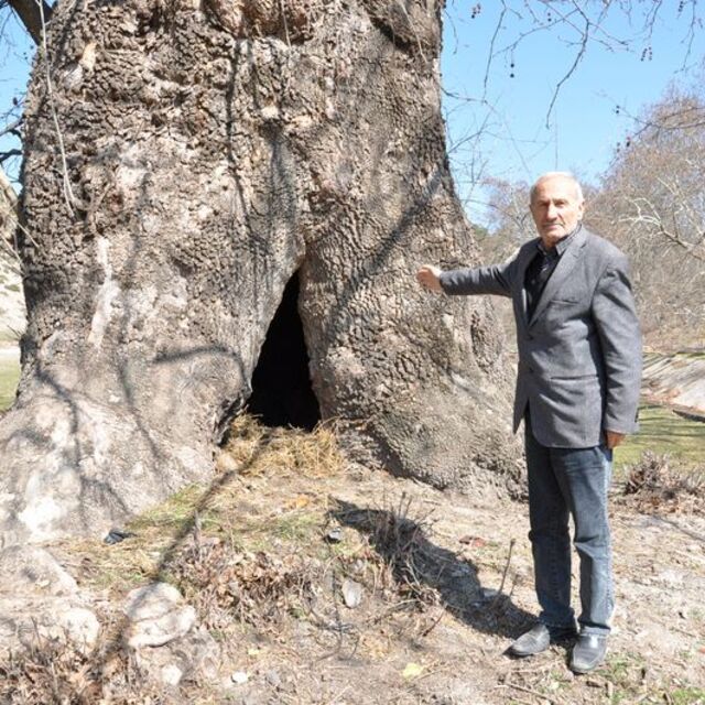 O kadar büyük ki...'Kapısından içerisine girerdik'