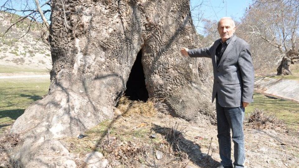 O kadar büyük ki...'Kapısından içerisine girerdik'