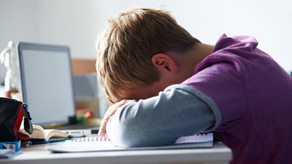 Çocukları 'Momo'dan korumak için ne yapmalı?