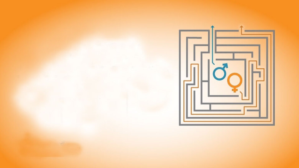 Sadece 6 ülke kadınlara eşit ekonomik haklar veriyor