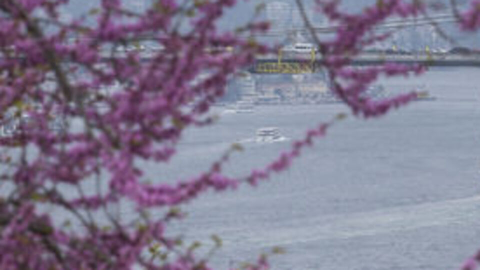Meteoroloji'den sevindiren haber!