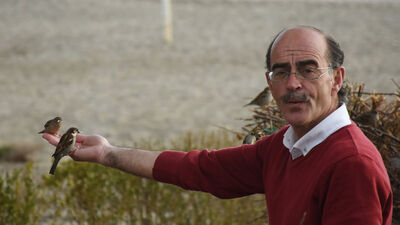 Serçelere ıslık çalan adam