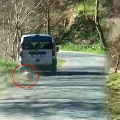 Artık iyice abarttılar!