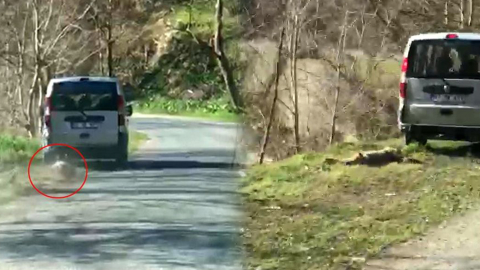 Artık iyice abarttılar!