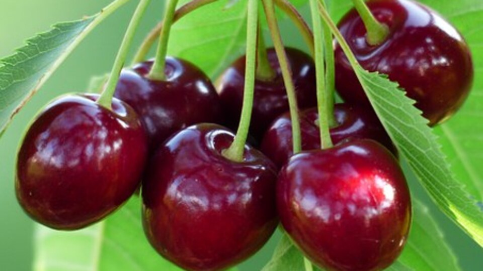 9 Mart Oyna Kazan ipucu