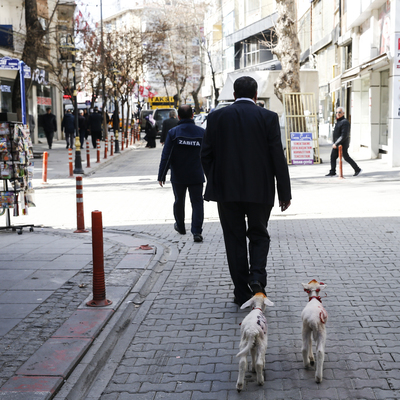 Ercan ve Gülcan mahallenin maskotu oldu