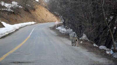 Kırmızı listede! Böyle görüntülendi