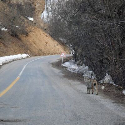 Kırmızı listede! Böyle görüntülendi