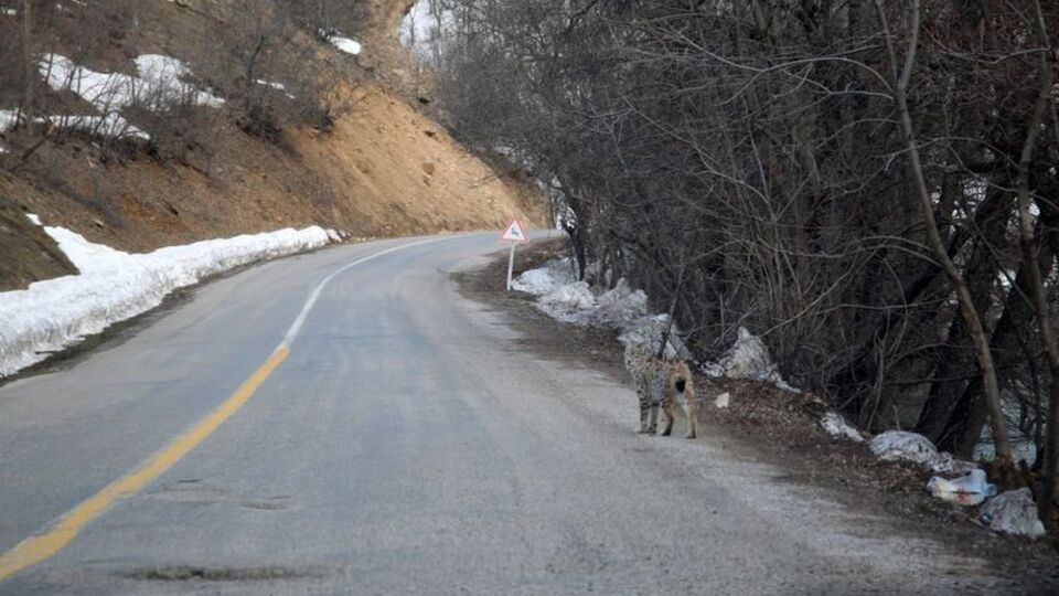 Kırmızı listede! Böyle görüntülendi