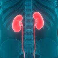 Böbrekleri vuran 7 hata!