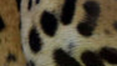 Selfie çekmek için saldırıyı göze aldı!