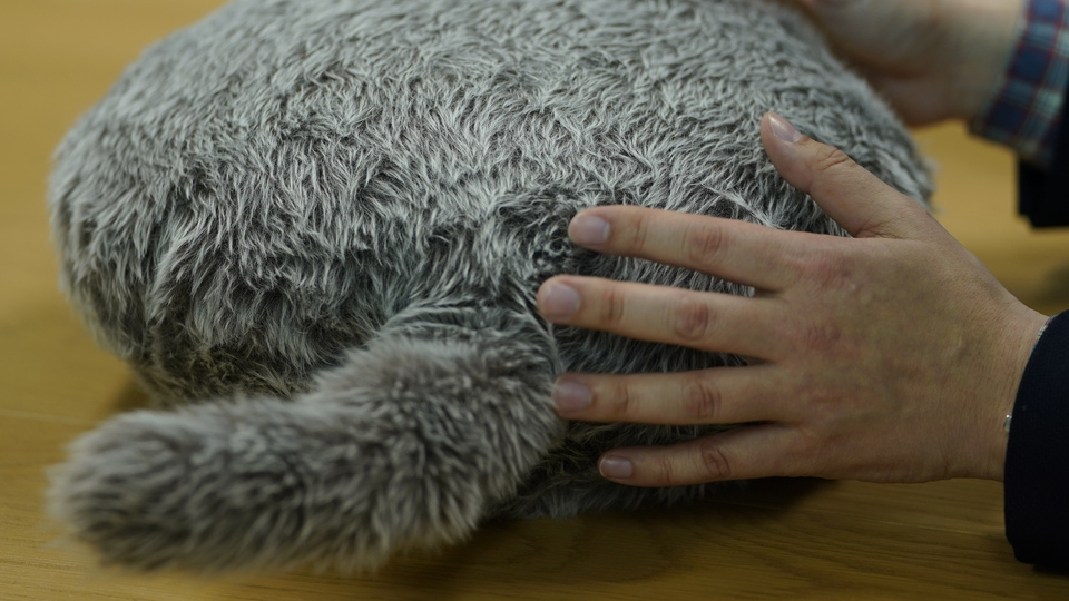 Yalnızlık bunalımındakilere robot hayvan verildi