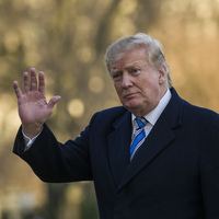 Uçak kazaları Trump'ın da gündeminde: Pilotumun Einstein olmasını istemem