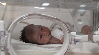 700 saatlik incelemenin ardından yakalandılar