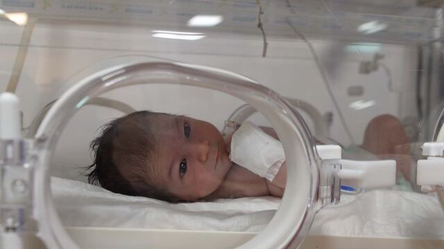 700 saatlik incelemenin ardından yakalandılar